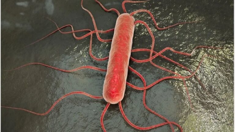 Listeriosis