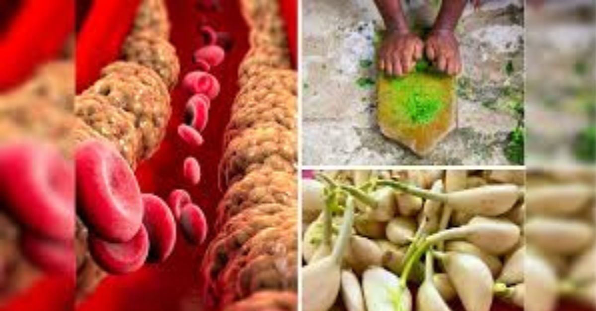 cholesterol control home remedies in hindi